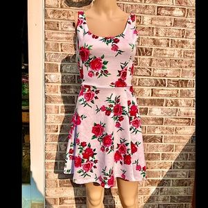 H&M Divided Rose Skater Dress